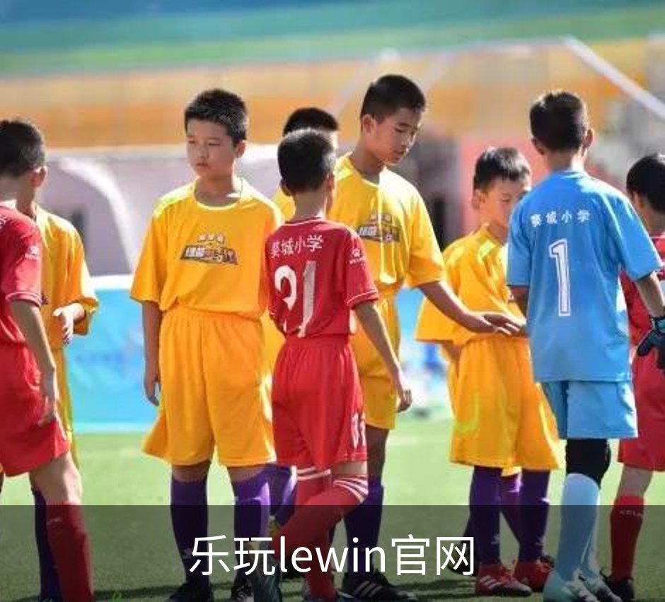 乐玩lewin官网概况